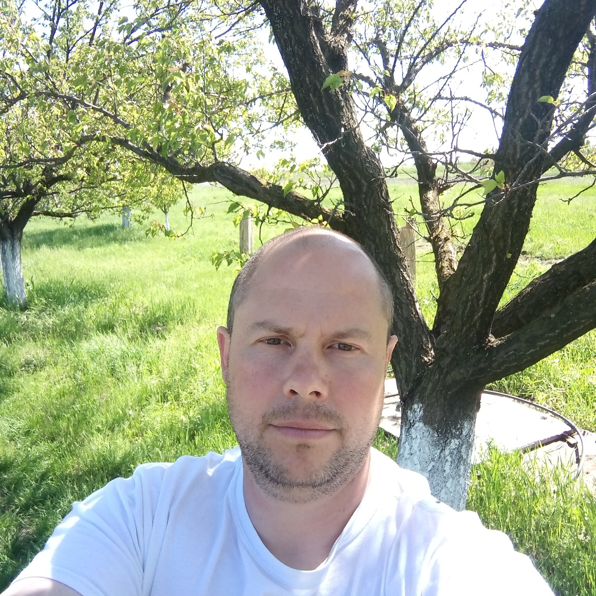 inbound5692663082459959179