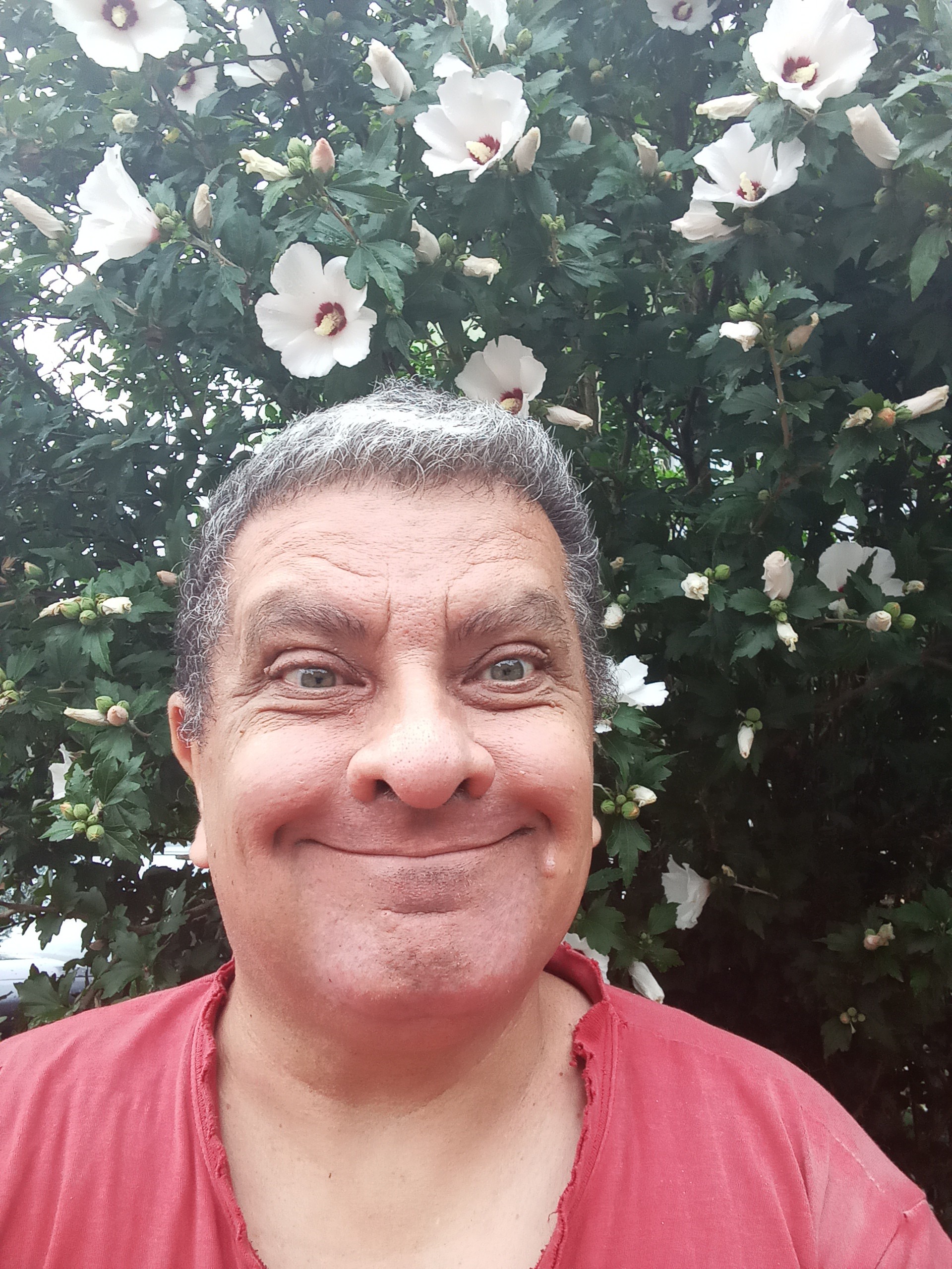 inbound33917632519429864